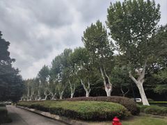 -浙江大学(玉泉校区)
