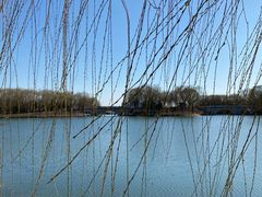 -大兴滨河森林公园