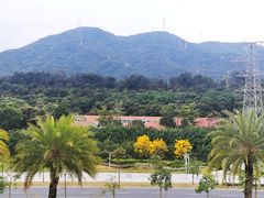 -白石龙音乐公园