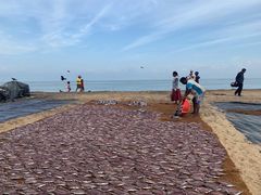 -尼甘布海鲜市场