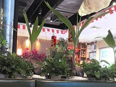 -龙泉人椰子鸡(龙昆南店)
