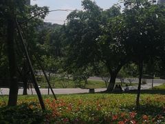 -沐仙湖湿地公园