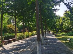 -东升八家郊野公园