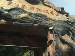 -莫里热带雨林景区