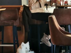 -Cele Dubrovnik Gourmet & Lounge