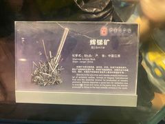 -中华赏石园