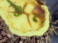 -海胆小馆(东北水饺·春柳店)