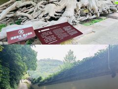 -宁波市保国寺古建筑博物馆