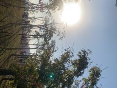 -白石龙音乐公园