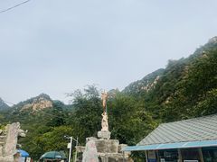 -大岭沟猕猴桃谷风景区