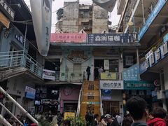 -猫咪博物馆(顶澳仔猫街店)