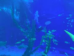 -前王院•巧克力海鲜市集餐厅(万平口店)