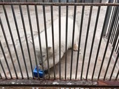 -泉城欧乐堡海洋极地世界