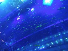 -成都浩海立方海洋公园