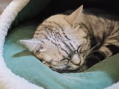-H立方实景剧情密室(天河旗舰店)