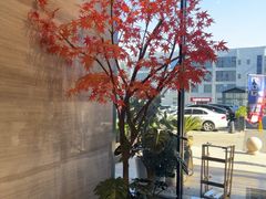 -唐宫足道·SPA·住宿24H会所(木渎店)