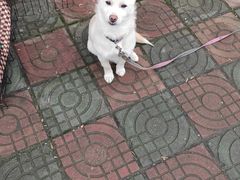 -盒马鲜生(领丰汇店)