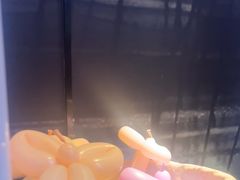 -老板恋上鱼(环山路店)