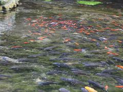 -水磨沟公园