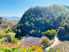 -云峰山自然风景区
