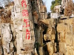 -秀丽东方