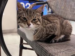 -中田健身工作室(嘉定江桥店)