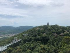 -三亚亚龙湾人间天堂鸟巢度假村
