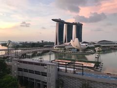 -新加坡文华东方酒店