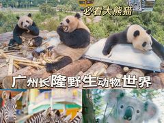 -广州长隆旅游度假区