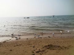 -老虎石海上公园
