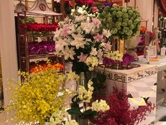 -咖啡苑 - 蔚藍夏日限定主题(永利皇宫店)
