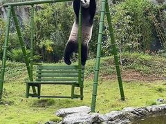 -杭州野生动物世界