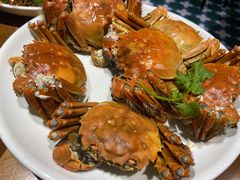 -0574龙虾的故事(东裕店)