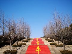 -牛首山文化旅游区