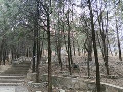 -北京鹫峰国家森林公园