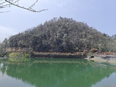 -桃花岭景区