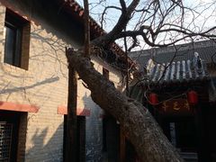 -康百万庄园