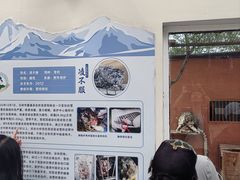 -青藏高原野生动物园