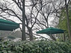 -星巴克(西湖天地店)