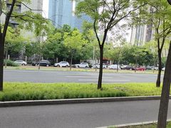 -大望京公园