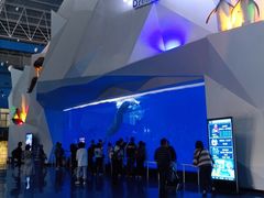 -泉城欧乐堡海洋极地世界