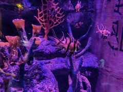 -沈阳海洋探索中心