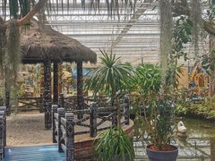 -上海鲜花港