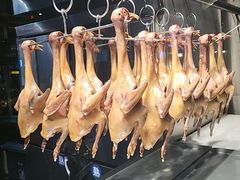 -三强鸽子(中原路店)