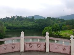 -大屏嶂森林公园