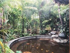 -碧桂园润杨溪谷温泉酒店