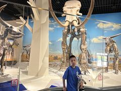 -国家自然博物馆