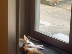 -Again Coffee Roaster(香蜜湖店)