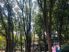 -上海月湖雕塑公园