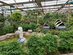 -南宫五洲植物乐园